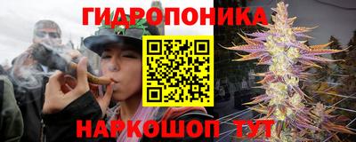 спайс Ачхой-Мартан
